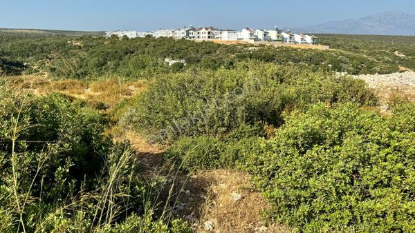 Didim Bozsekide Yerleşime Yakın Satılık 300m2 Villa İmarlı Arsa