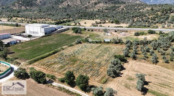 Milas Ekinderede Satılık Tarla