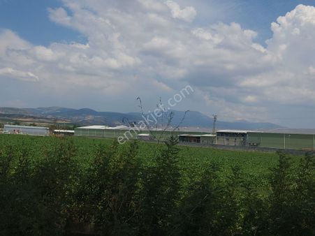 Amasya Suluova Hacıhayta Satılık 3215 M2 Müstakil Köşe Parsel