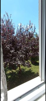 5 + 2 Satılık Bahçe Dubleks