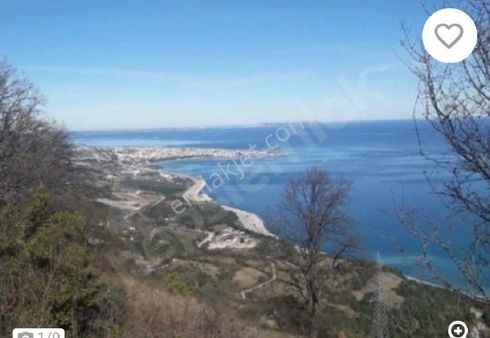 Sinop Gerze Çakallı Da Atalay Emlak Tan Satılık Arsa