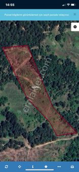 Bursa Osmangazi Güneybudaklar Tarla