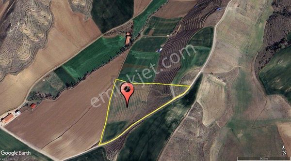 Güvenay - Çorum Sarmaşa Köyü Üstü 3100 M² Satılık Hisse