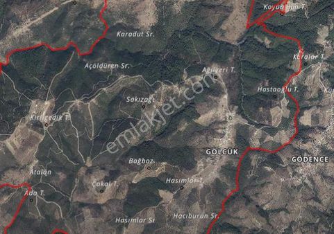 Seferihisar Gölcükte Mevkiide Satılık Zeytinlik