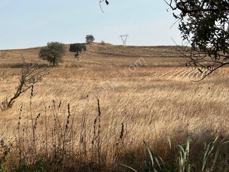 Alp Gayrimenkul'den Tatlıpınar'da Satılık Tarla