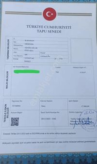 Kupon Bahçe! 4ton Yılda Kiraz ! Karaman Aşağıçağlar Mevki