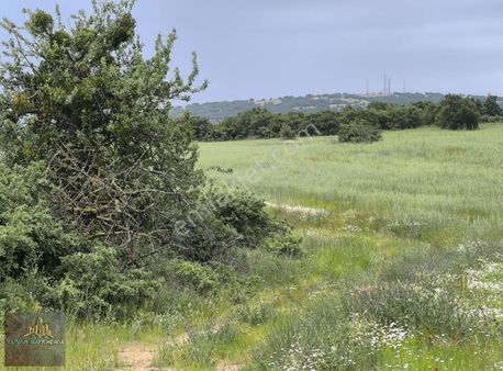 Yuvam Gayrimenkul'den 3702 M2 Müstakil Tek Tapulu Bağlık Arsa