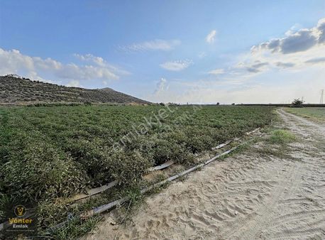 Yönter Emlaktan Mahmutlar Da Acil Satılık Yatırımlık Tarla