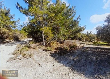 Manisa Saruhanlı Bahadır Mahallesinde Doğa İle İç İçe 735 M2