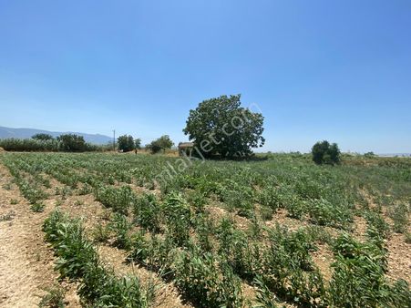 Akar Emlak'tan Satılık Tarla