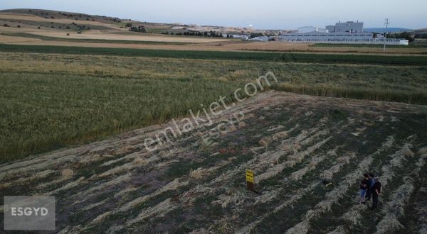 Esgyo'dan Üçahlat Mevkiinde Kaçırılmayacak Yatırımlık Tarla