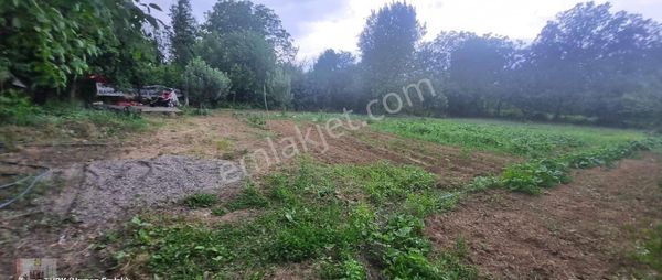 Yeniyurt Mahallesinde 5343 M² Arsa