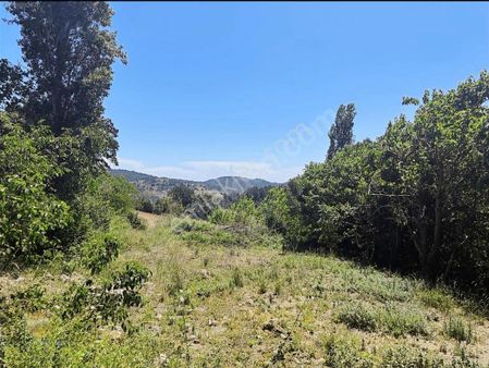 Akdağ Emlaktan Ağlaşan Köyünde Kupon Arazi