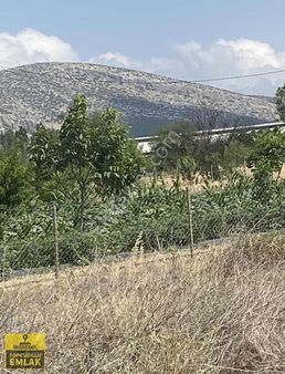 Antalya Korkuteli Bozovada Bahçe.4732..metrekare