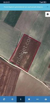 Balıkesir Bandırma Akça Pınar Köyü Satılık Tarla