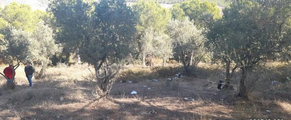 Bursa Demirtaş Mah. İsmetiye Köy Tarla Satılık