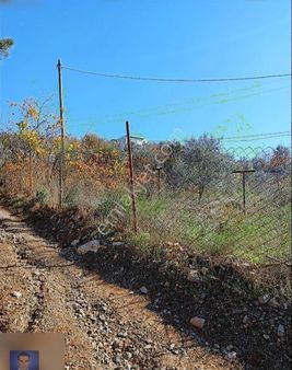 Belen De Sorunsuz Bahçe Ve Tarla