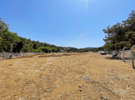 Ana Yol Üzeri/elektrik-su-foseptik Mevcut/resmi Tapulu Araziler*