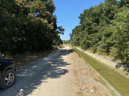 Mustafakemalpaşa Demireli Mh. 10 Dömüm Tarla