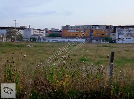 Ergene Karma Organize'de Satılık 5700 M2 Sanayi İmarlı Arsa