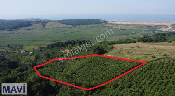 Kaynarca Arifağada Deniz Ve Orman İçiçe %40 İmarlı Arsa