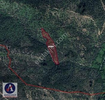 İzmir Bayındır Kabaağaçta 6.389m2 Satılık Zeytinlik