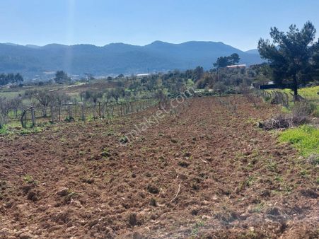Yola Cepheli İçerisinde Ruhsatı Alınmış Evi Bulunan Tek Tapulu Tarla