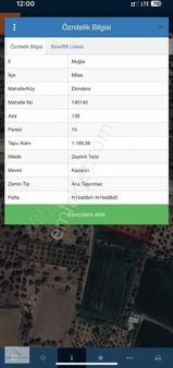 İzmir Bodrum Yoluna Sıfır Kelepir Ticari Zeytinli Tarla