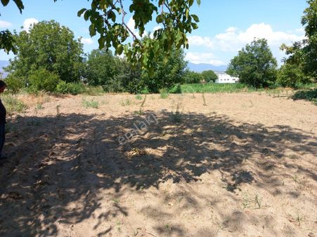 Bozdoğan Hayderede Satılık Hobi Bahçesi