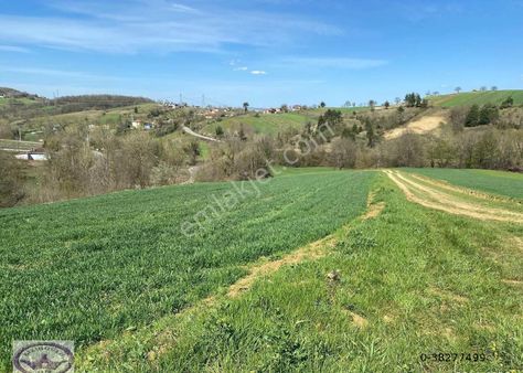 Körfez Himmetli 6571m2 Müstakil Köyiçi 309metre Yola Cepheli Değerli İmarlı Arazi(diğer Tarım Alanı)