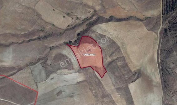 Takasa Açık Kavacık Mahallesin’de 17 Dönüm Satılık Tarla