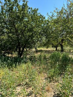 Manisa/turgutlu İnan Emlak Gayrimenkulden Dağyeniköyde Satılık Bahçe
