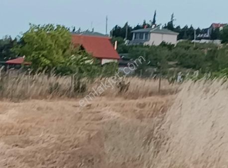 Güneş Emlaktanemlak,tan Fırsat Arsa