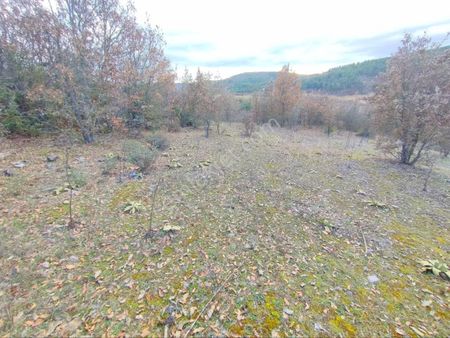 Balıkesir Sındırgı Karacalar