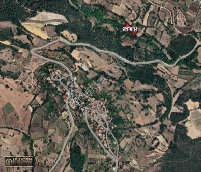 Ulucan Emlaktan Gölpazarı Söğütçük 2388 M2 Satılık Tarla