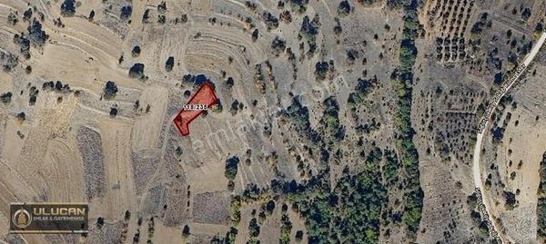 Ulucan Emlaktan Gölpazarı Söğütçük 700 M2 Satılık Tarla