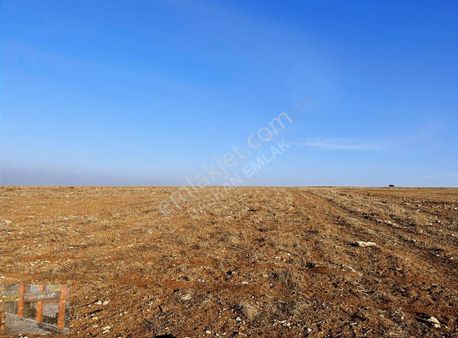 Başkan Emlaktan Satılık Seyitgazi İkiçeşme 54.550 M2 Tarla .