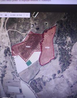 Antalya Kaş Dirgenler Koyunde Satılık 39880metre Kare Tarla Su Yol Elk Sorunu Yok