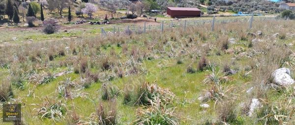 Yönter Emlaktan Yenioba'da 2000 M² Arsa