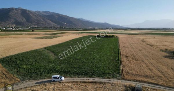 Elmalı Bayralar Mah. Sera Ve Hertürlü Tarıma Elverişli 5.100 M² Tarla Satılıktır