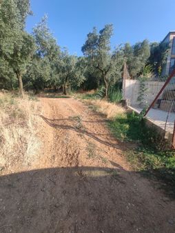 Yenigürle Köy İmar Alanı Bitişiğinde