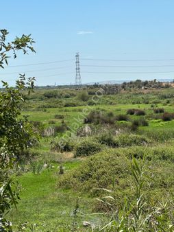 300 Dönüm Meraya Sınır Hayvancılığa Uygun