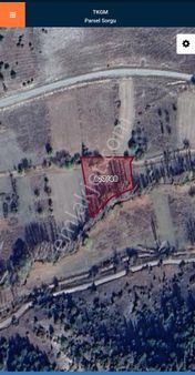 Odak'tan Turgutlar'da Satılık Tarla