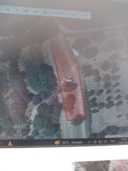 Muratlı Yukarı Sevindikli Baglar Mevkinde Kalan Niteliği Bağ Olan Satılık Yatırımlık Yer