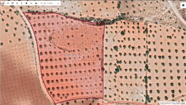 Aytekin Gayrimenkulden Tahtalıda Satılık Zeytinlik