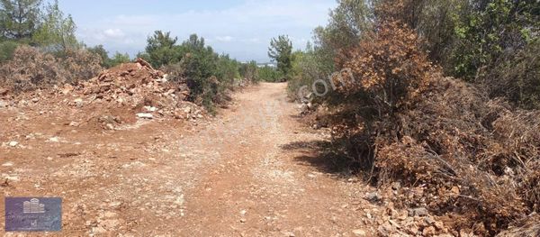 Aksu Topallı 350m2 Arsa