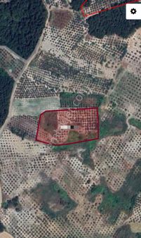 Ena Group Bursa Mudanya Çepni'de 10500 M2 Satılık Bahçe