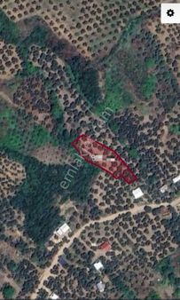 Ena Group Bursa Mudanya Çepni Düzbağlar'da 982 M2 Satılık Bahçe