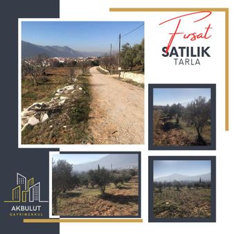 Bayır'da İmar Sınırında Ana Yola 500 Metre Mesafede Tarla