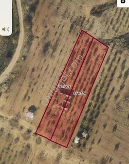 Oğuzeli Gürsu'da Satılık Yatırımlık Arazi